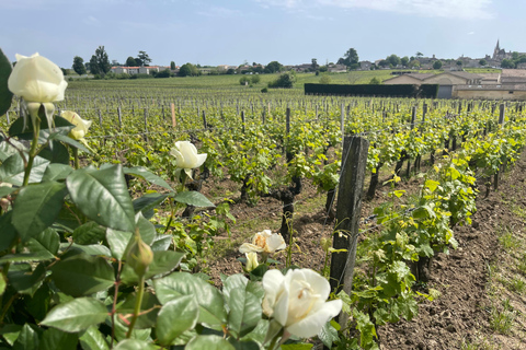 From Bordeaux: Morning in Saint-Emilion – Breakfast + Tour + Tasting Morning in Saint-Emilion from Bordeaux: Breakfast + Tour + Tasting