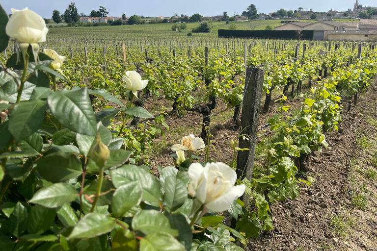 From Bordeaux: Morning in Saint-Emilion – Breakfast + Tour + Tasting Morning in Saint-Emilion from Bordeaux: Breakfast + Tour + Tasting