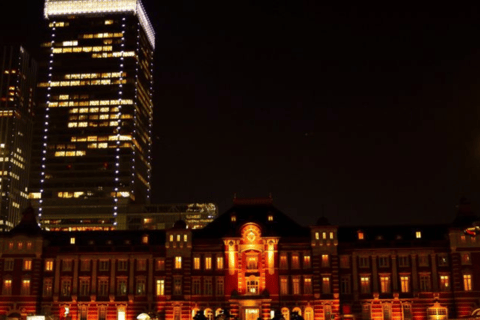 Tokyo : Visite d&#039;une jounée privée de la ville de Tokyo : lieux incontournables