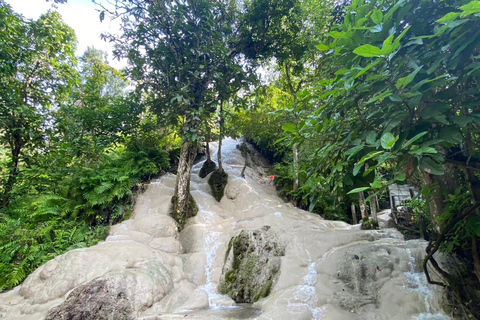 Doi Suthep Tempel, Orchideeën Hoeve &amp; Kleverige Waterval met Lunch