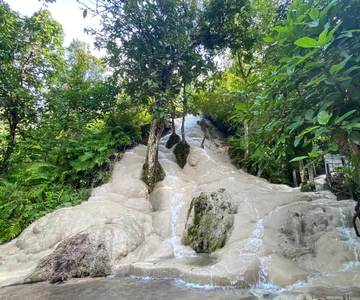 Tour di mezza giornata di Chiang Mai: Cascata Sticky e trasferimento in hotel
