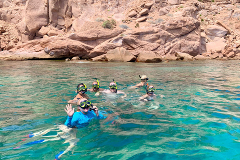 Espiritu Santo Island: Snorkeling Sea Lion Adventure