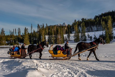 Zakopane: Schlittenfahrt im Chochołowska-Tal mit Lagerfeuer