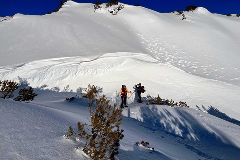 Hallstatt: Snowshoeing from Krippenstein to Zwölferkogel