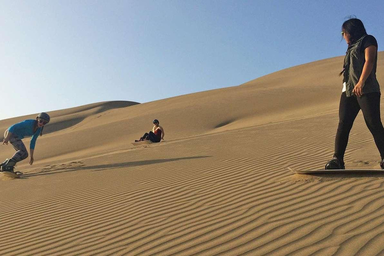 Excursion to San Fernando bay and Sandboarding in Nazca