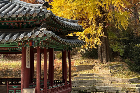 Séoul : visite privée avec un habitant pendant votre escaleVisite privée de Séoul depuis l&#039;aéroport avec un habitant