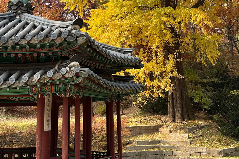 Séoul : visite privée avec un habitant pendant votre escaleVisite privée de Séoul depuis l&#039;aéroport avec un habitant