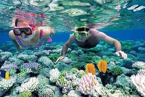 Bali: Blue Lagoon Snorkeling & Sababay Winery Tour