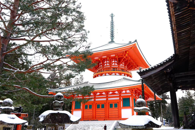 Koyasan Hidden Gems Day Trip From Osaka