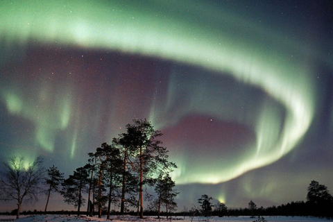 Saariselkä: Auroras Northern Lights Viewing & Photographing
