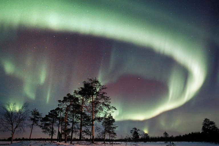 Saariselkä: Auroras Northern Lights Viewing & Photographing