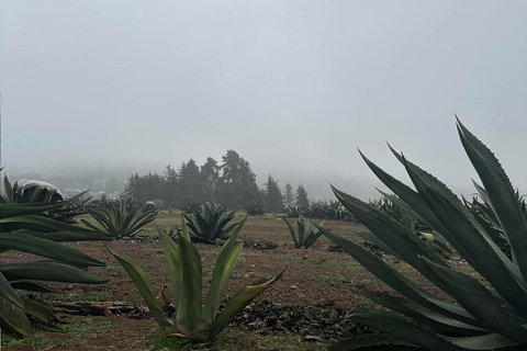 Quetzalapan + Chignahuapan: visit the sphere factory and its surroundings