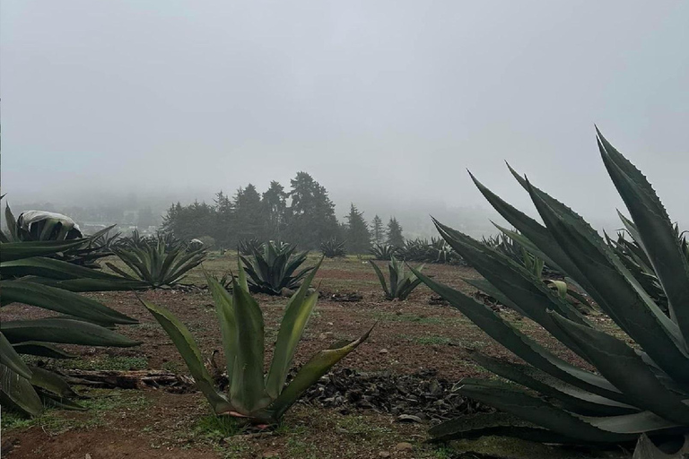 Quetzalapan + Chignahuapan: visit the sphere factory and its surroundings