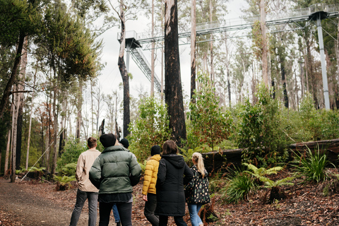 Hobart: Jaskinia Hastings, Tahune Airwalk i Huon Tasting Trail