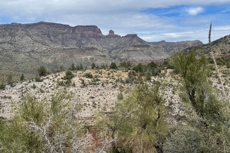 كريسوتيل أريزونا: رحلات على الطرق الوعرة إلى مناظر خلابة لوادي ريجال