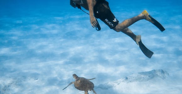 Bohol: Pamilacan Island Dolphin & Turtle Watching Tour