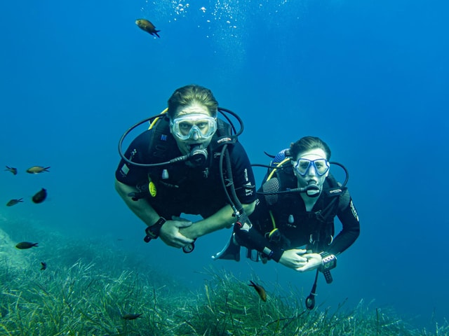 Mallorca Alcudia: Diving for Certified Divers with a Guide from the Boat