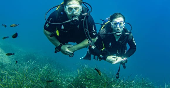 Mallorca Alcudia: Tauchen für zertifizierte Taucher mit Guide vom Boot