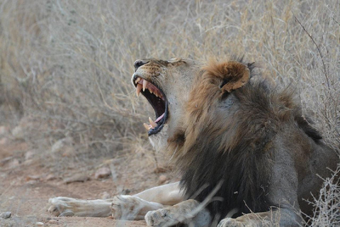 Nairobi: 3-Day Samburu National Reserve Safari Tour