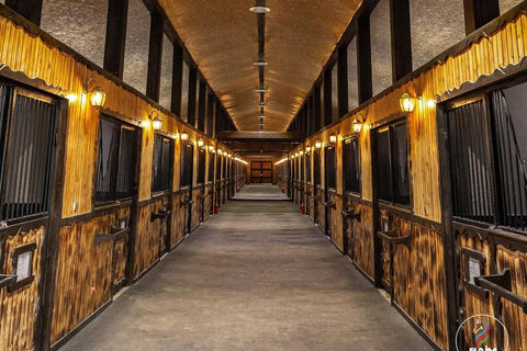 巴库骑马体验：邂逅世界名驹标准套餐