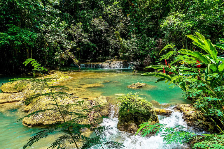 Black River Safari och Ys Falls rundtur och transportFrån Falmouth/ Trelawny