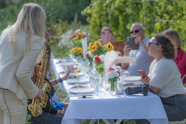 Dinner in the vineyard French Riviera