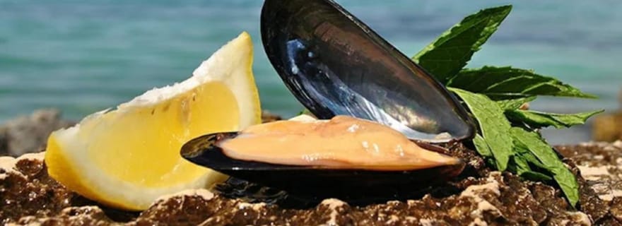 Expérience de navigation et dégustation de moules à Ksamil