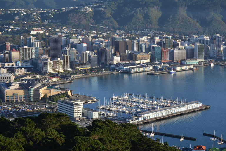 Wellington: WLG Airport to City Private RoundTrip Transfer
