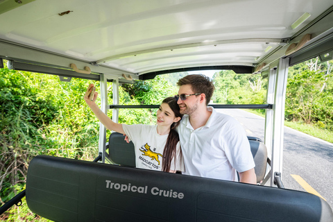 河内：下龙湾至兰哈湾 - 猫巴岛一日游从河内出发，乘坐豪华巴士（22 座）