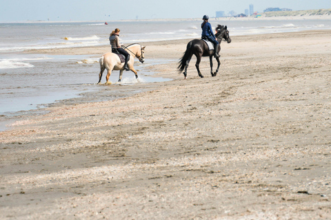 Barbados: Unique Horseback Riding by the Beach