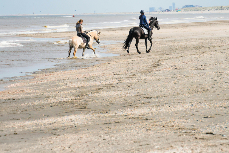 Barbados: Unique Horseback Riding by the Beach