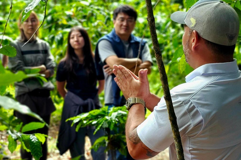 Boquete: Geisha Coffee Plantation Tour with Tasting