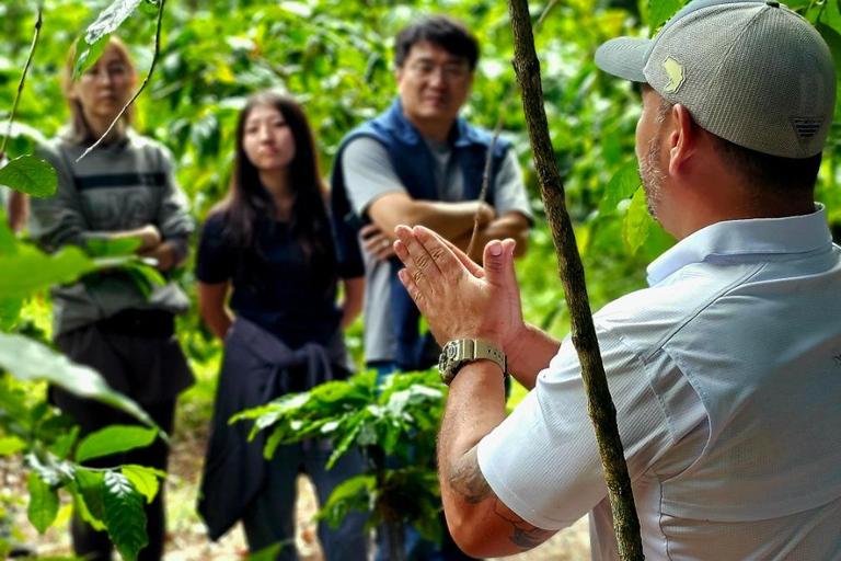 Boquete: Geisha Coffee Plantation Tour with Tasting