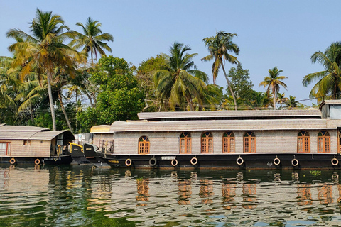 Kochi: 3-Day Kerala Tour with Munnar and Alleppey Cruise