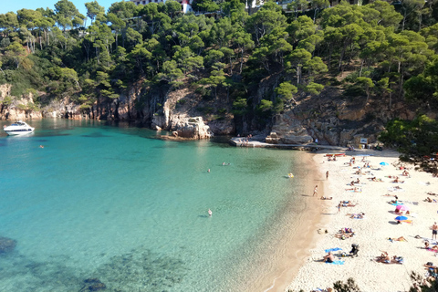 From Barcelona: to beaches Aiguablava & Tamariu, Costa Brava