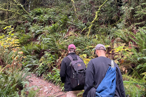 The Vancouver Summit Walk
