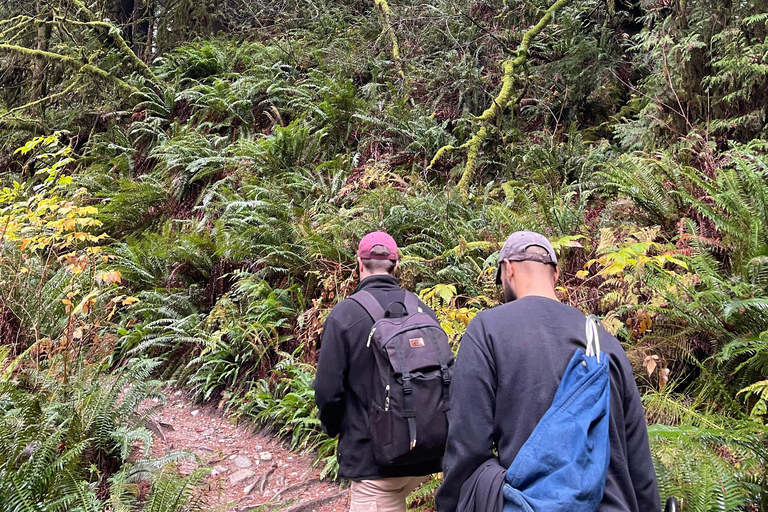 The Vancouver Summit Walk