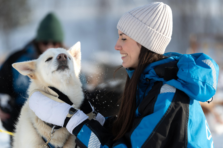 Tromsø: Easy Dog Sledding Tour & Kennel Visit