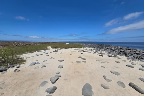 Isla Seymour Norte: Tour de Día Completo en Galápagos