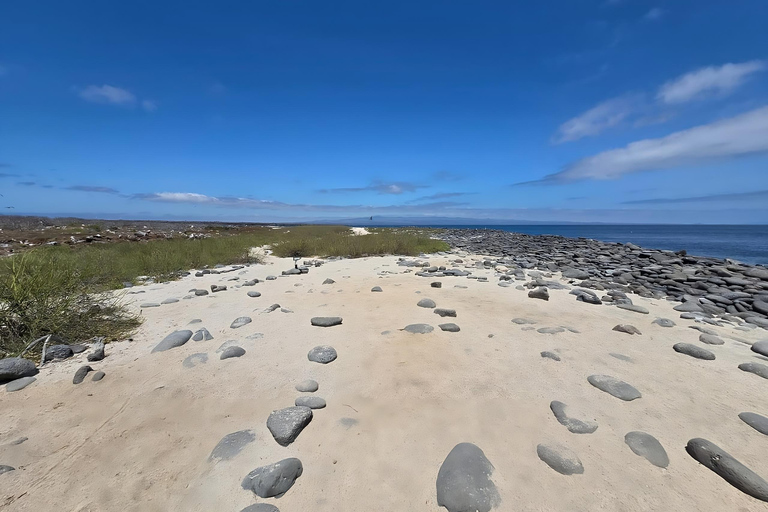 Noord-Seymour Eiland: Galapagos Tour van een hele dag