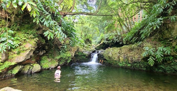 Nordeste/Northeast Coast: Full-Day Hike to Hidden Waterfalls
