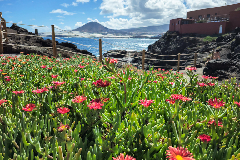 Gran Canaria Sunset & Wild Coast Tour, Cliffs, Natural Pools