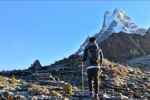 Mardi Himal Trek in 7 Days where Solitude Meets the Peak