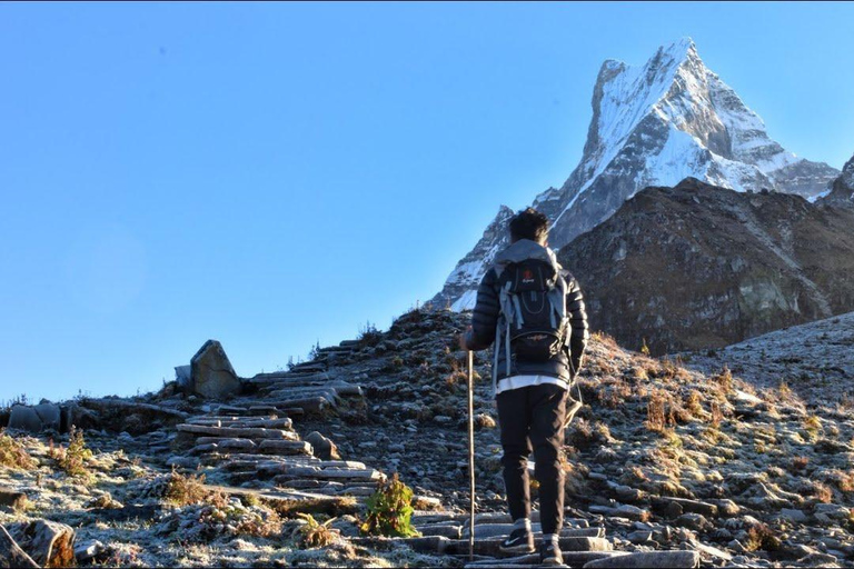 Mardi Himal Trek in 7 Days where Solitude Meets the Peak