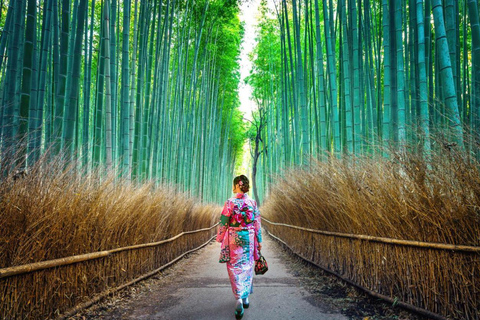 Kyoto: Private Customizable Tour with Driver and Guide