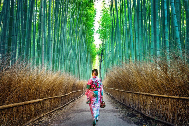 Kyoto: Private Customizable Tour with Driver and Guide