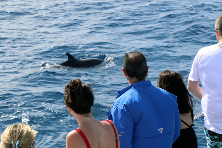 Oahu: Snorkeling & Dolphin Watch Cruise with Hawaiian Buffet Private: All-Inclusive Sunset Snorkel Cruise with Hot Buffet