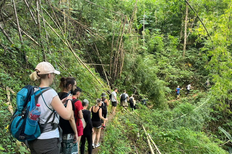 Chiang Rai: Jungle Adventure-Group Trekking & Bamboo Cooking