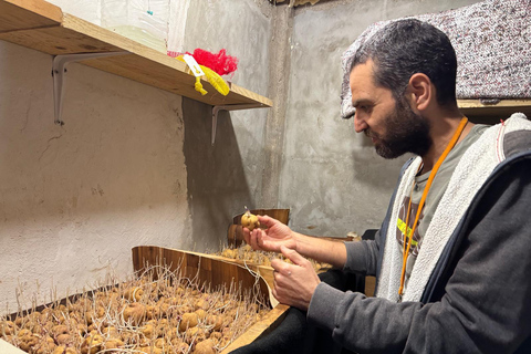 Tenerife: Canary History and Color Potatoes