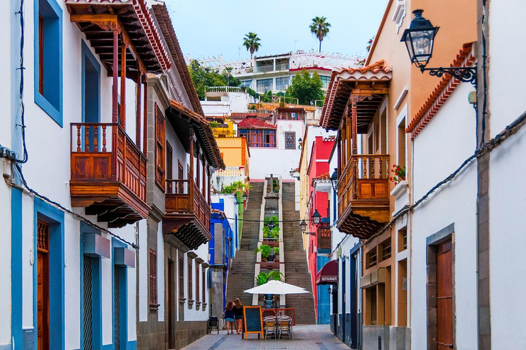 Gran Canaria Peaks in Minibus: Firgas, Teror, Aloe Vera tour Spanish - Picos de Gran Canaria Tour by Minibus